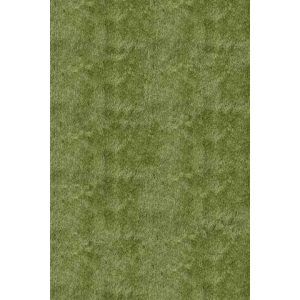 Green Shag Area Rug