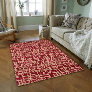 Red Contemporary Area Rug